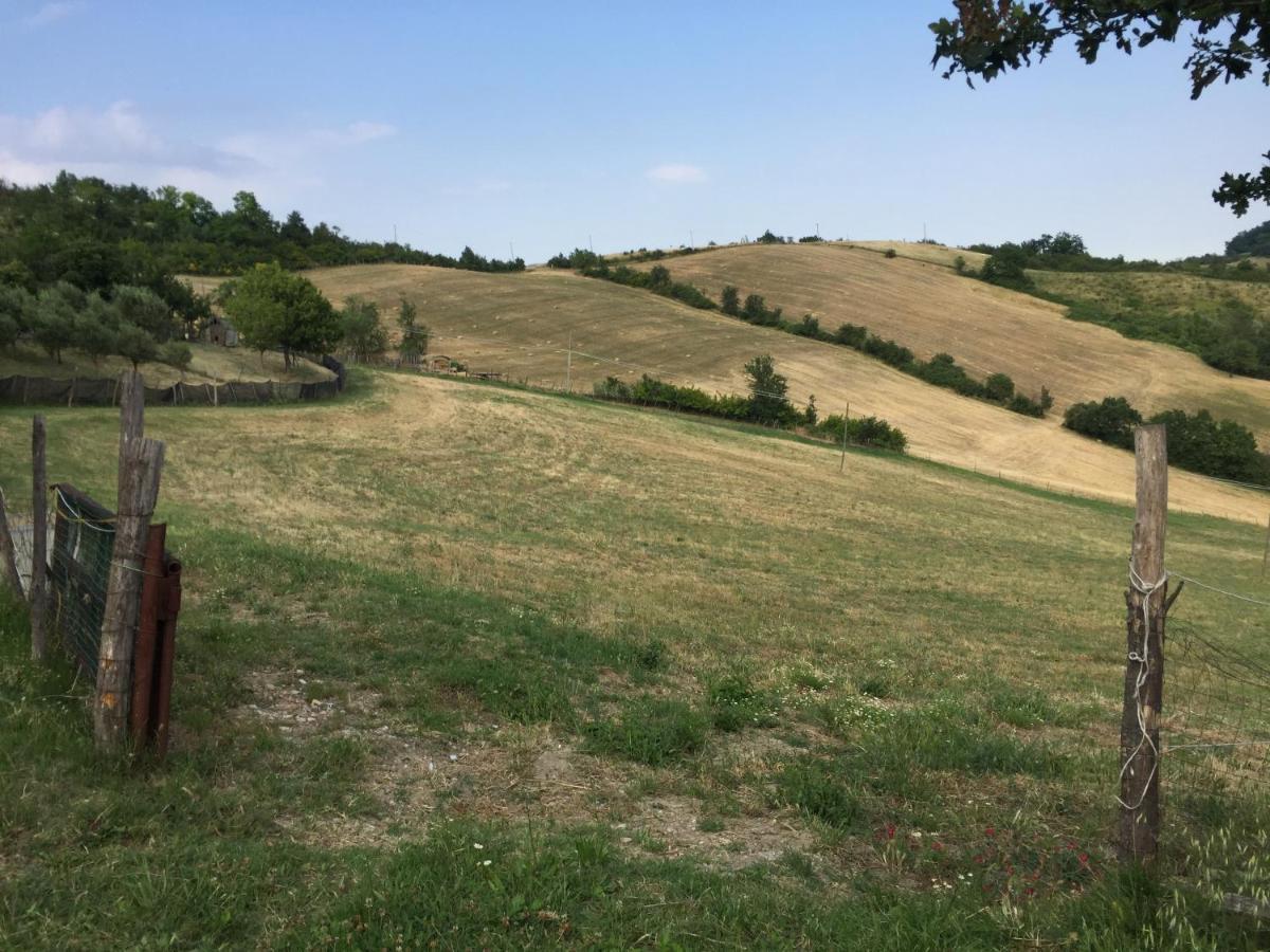 La Palazzina Di Ciagnano Vila Ozzano dell'Emilia Exterior foto